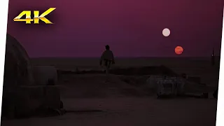 Puesta De Soles | Star Wars Episodio IV - Una Nueva Esperanza (1977) Movie Clip 4K UHD (LATINO)