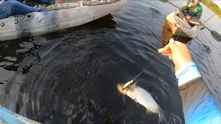 Pescando en El puerto de San José del Guaviare y en laguna negra ! Colombia.