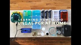 Fungal PCR at home, Part 1: Setting up your lab