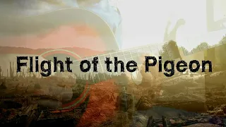 Battlefield 1 - The Flight of the Pigeon - Fingerstyle Guitar Cover