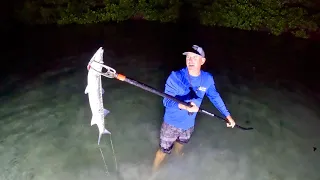 Catching Barracudas with Only a Hand Spear!  (Catch & Cook)