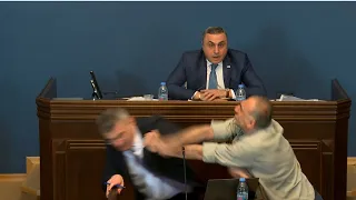 Fight erupts in Georgia's parliament as 'foreign agent' bill discussed | REUTERS