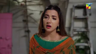 Aliya Ki Zahid Se Mohabbat, Nafrat Mein Tabdeel ?? Ibn-e-Hawwa - HUM TV