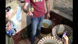 Iago's qvevri winery