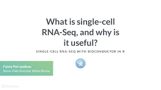 R Tutorial: What is Single Cell RNA-Seq, and why is it useful?