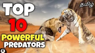 Top 10 most powerful predators in the world | animals | wild | sky | sea | funny😂