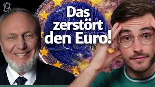 Gefährlich: SO will Hans-Werner Sinn die Eurozone reformieren! (Reaktion)