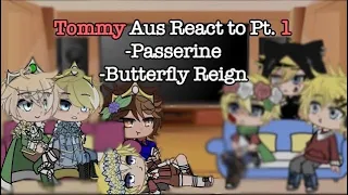 Tommy’s Aus React to Each Other Pt. 1 || Passerine & Butterfly Reign || DSMP || Desc for info