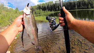Fishing Mountain Lakes for Rainbow & Tiger Trout!! (Catch & Cook)