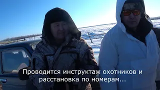 Охота на волков с флажками 2020 год.  Yakutia.