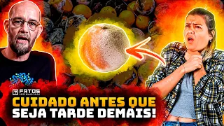 Frutas comuns que podem te matar e você não sabia