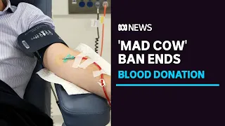 End of 22-year 'mad cow' ban means more people can donate blood in Australia from today | ABC News