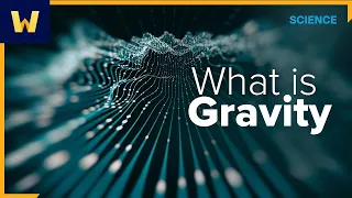 What is Gravity? | Wondrium Perspectives