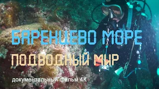 Арктика. Баренцево море. Подводный мир. Гавриловские острова.  Дальние Зеленцы.  Nature of Russia.