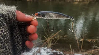 Winter trout fishing with jerkbaits