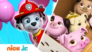 Щенячий патруль | 🚨 Маленькие помощники 🚨 | Nick Jr. Россия