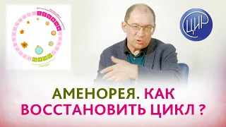 Аменорея в 33 года. Как восстановить регулярный цикл? Гузов И.И