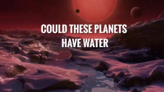 TRAPPIST-1: Weirdest habitable worlds