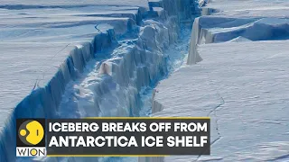WION Climate Tracker: Iceberg breaks off from Antarctica Ice Shelf | World News | English News