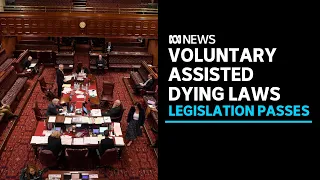 Voluntary assisted dying to become an option in New South Wales | ABC News