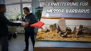 Erweiterung für Messor barbarus + Besuch beim ANTSTORE