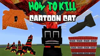 How to Kill Cartoon Cat (DO I FINALLY GET MY REVENGE?) (Minecraft PE)