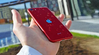 Честный обзор iPhone SE 3 на всё лето!