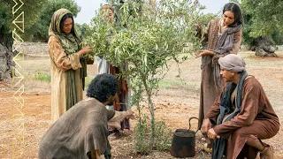 The Lord and His Servants Labor to Preserve the Vineyard