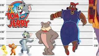 Tom and Jerry Size Comparison | Biggest Characters of Tom and Jerry | Satisfying Video