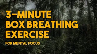 3-Minute Box Breathing Exercise For Mental Focus