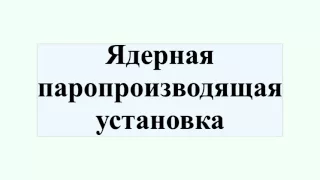 Ядерная паропроизводящая установка