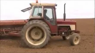 Drilling barley(old style)