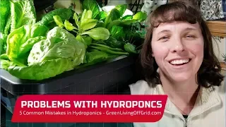 Problems in Hydroponics  - Avoiding 5 Common Mistakes