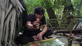 Trap shrimp in the stream and cook - 6 months of survival in the wild - episode 13