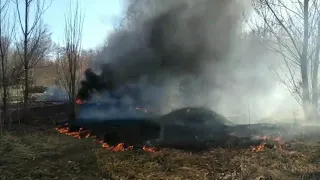 Не випалюй суху траву!