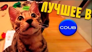 Смешные ПРИКОЛЫ 2016 COUB & VINE # 83 Funny video Best fail Compilation Подборка смешных видео