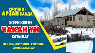 38 миң долларга 40 сотик ЖЕРИ менен ҮЙ сатылат ~ Малина, клупунай, ежевика, алма бактары бар