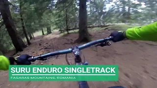Suru Enduro and Freeride Singletrack Fagaras Mountains Romania