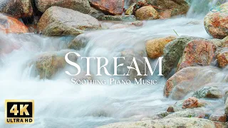 4K Forest Stream - Amazing Beautiful Nature Scenery with Soothing Piano Music - 4K Video Ultra HD