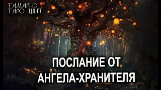 ПОСЛАНИЕ ОТ АНГЕЛА-ХРАНИТЕЛЯ💯ТАРО / РАСКЛАД / ГАДАНИЕ