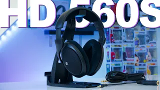 Sennheiser HD 560S Review - Entry Audiophile Headphones