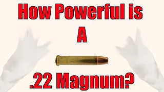 How powerful is a .22 Magnum?