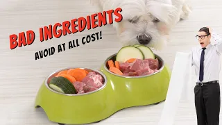 Dog Food Ingredients To Avoid