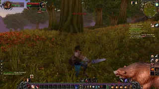 WoW Classic - Journey To Level 60 Episode 4