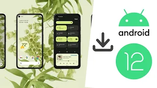 Comment installer la bêta Android 12 sur votre smartphone