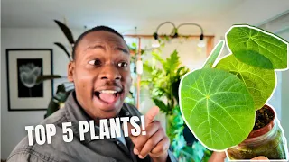 My FIVE Favorite Plants in May 2024