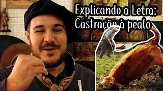 Explicando a Letra: Castração à Pealo - Linha Campeira #67