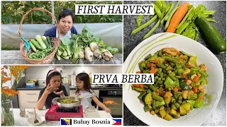 Hajde da skuhamo našu prvu berbu | Let's cook our first harvest of vegetables