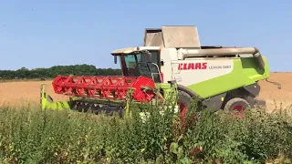 20180721 Class Lexion 580 raps 2