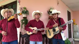 Las Poblanitas - Trío Cantores del Son